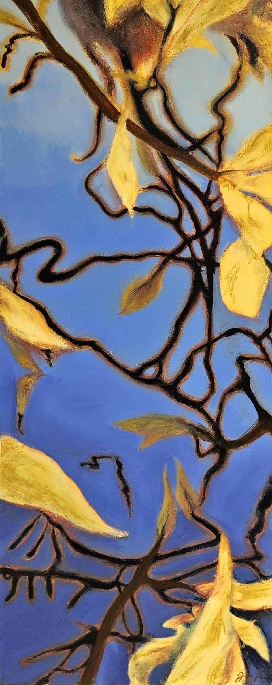 Slow Down and Listen