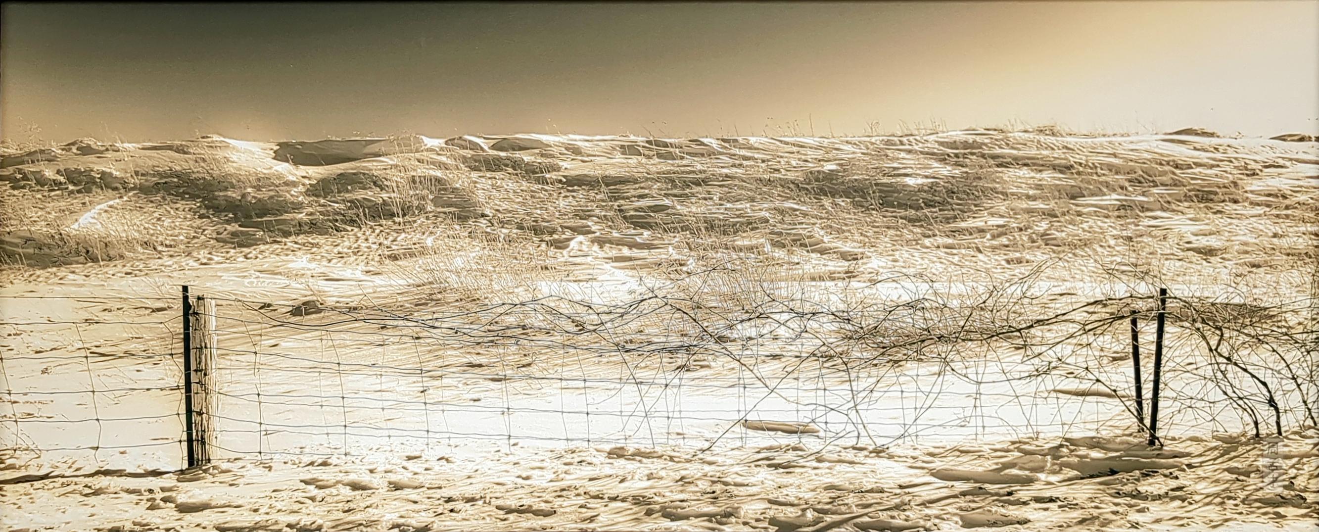 Desolate