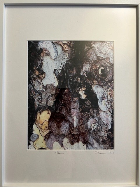Bark (Sold)