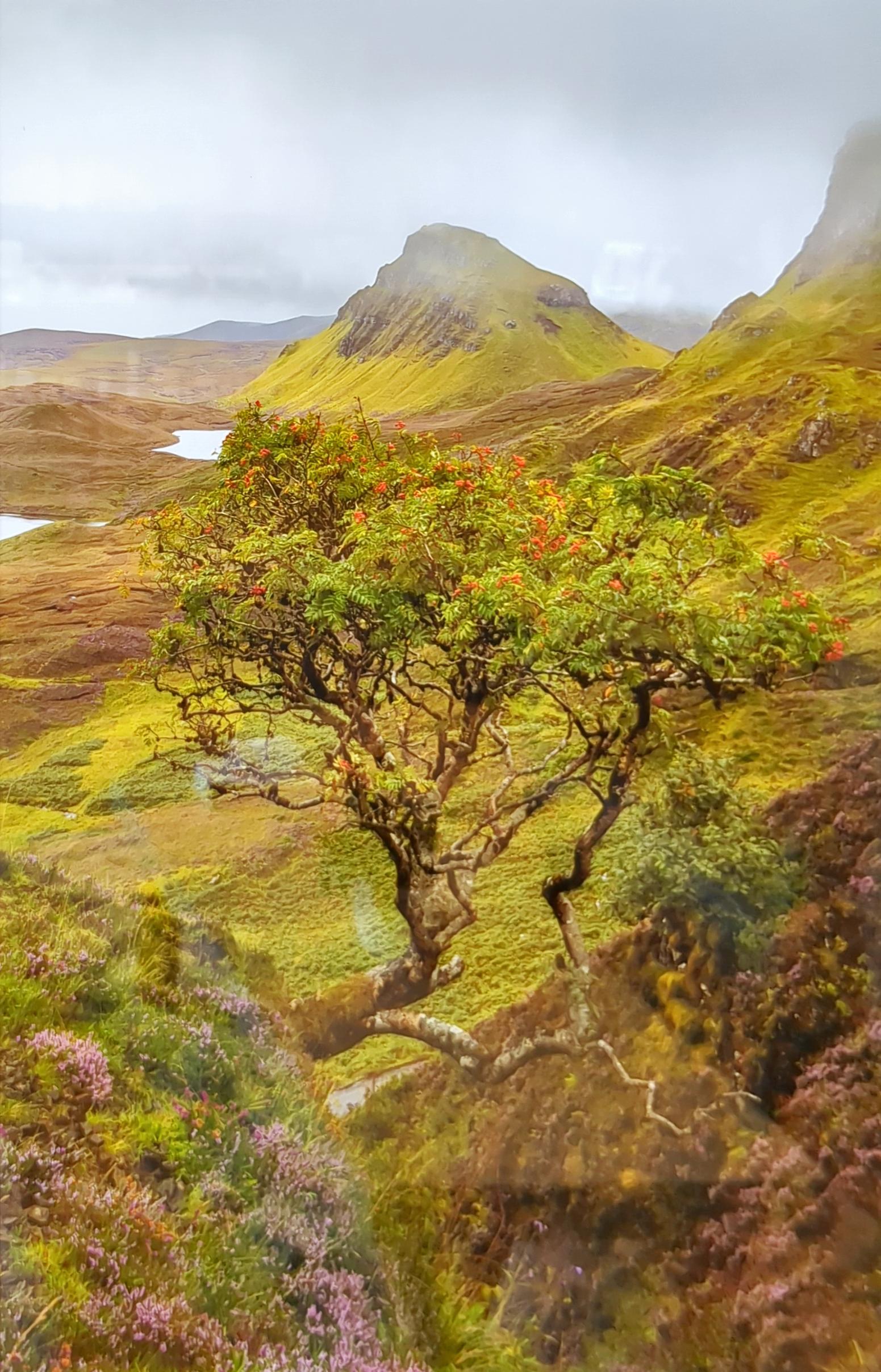 Classic Quiraing