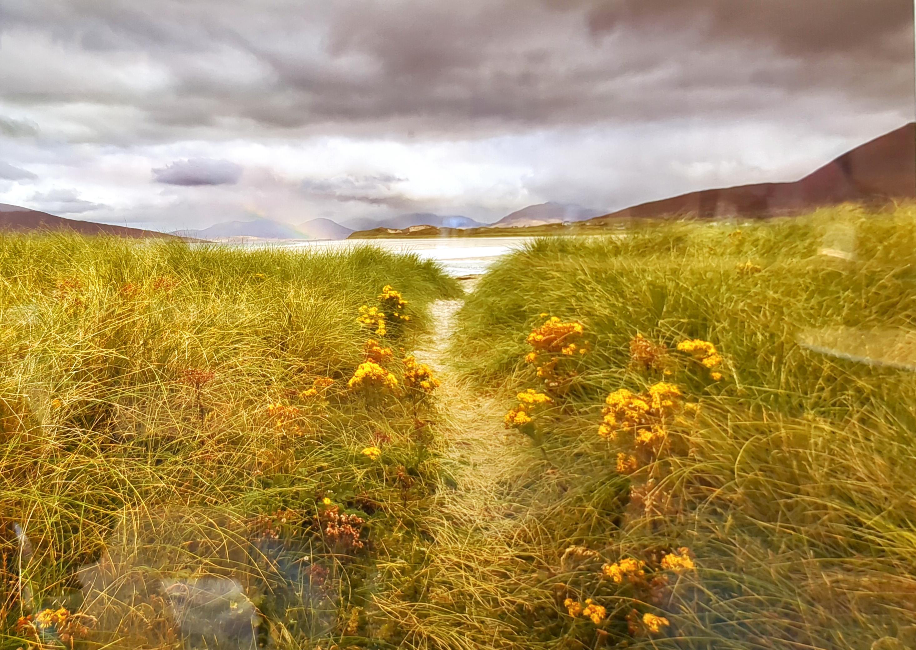 Path to the Pot of Gold