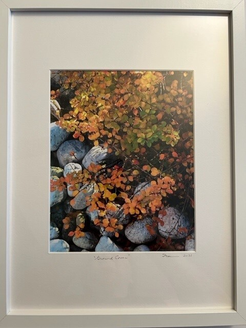 Ground Cover (Sold)
