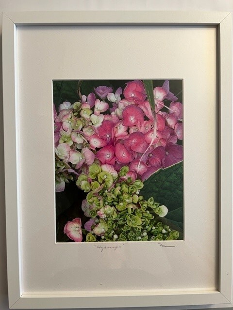 Hydrangea (Sold)