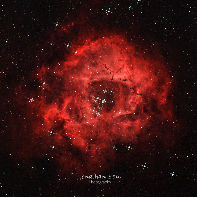 Roses are Red (Rosette Nebula)