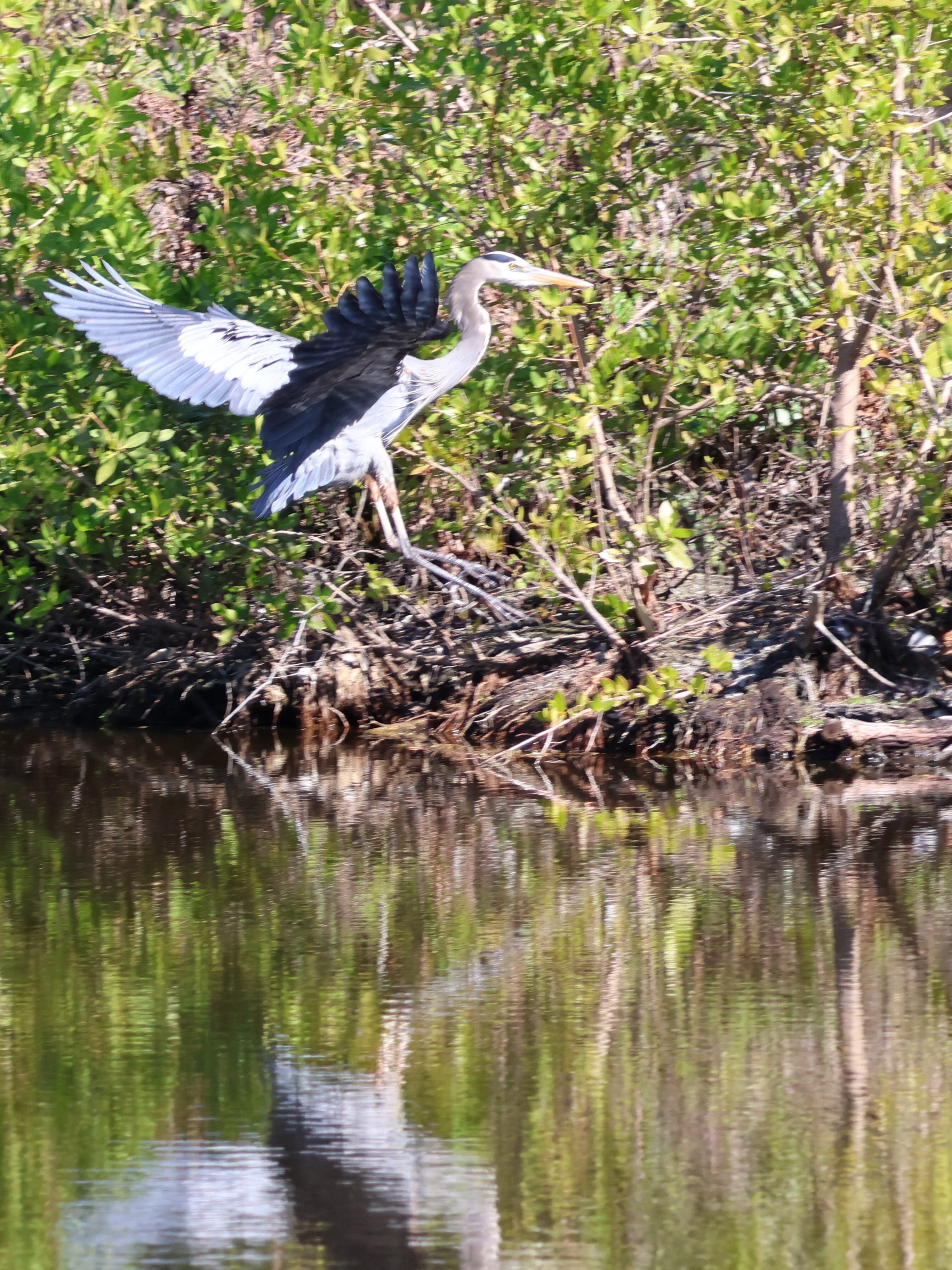 Landing