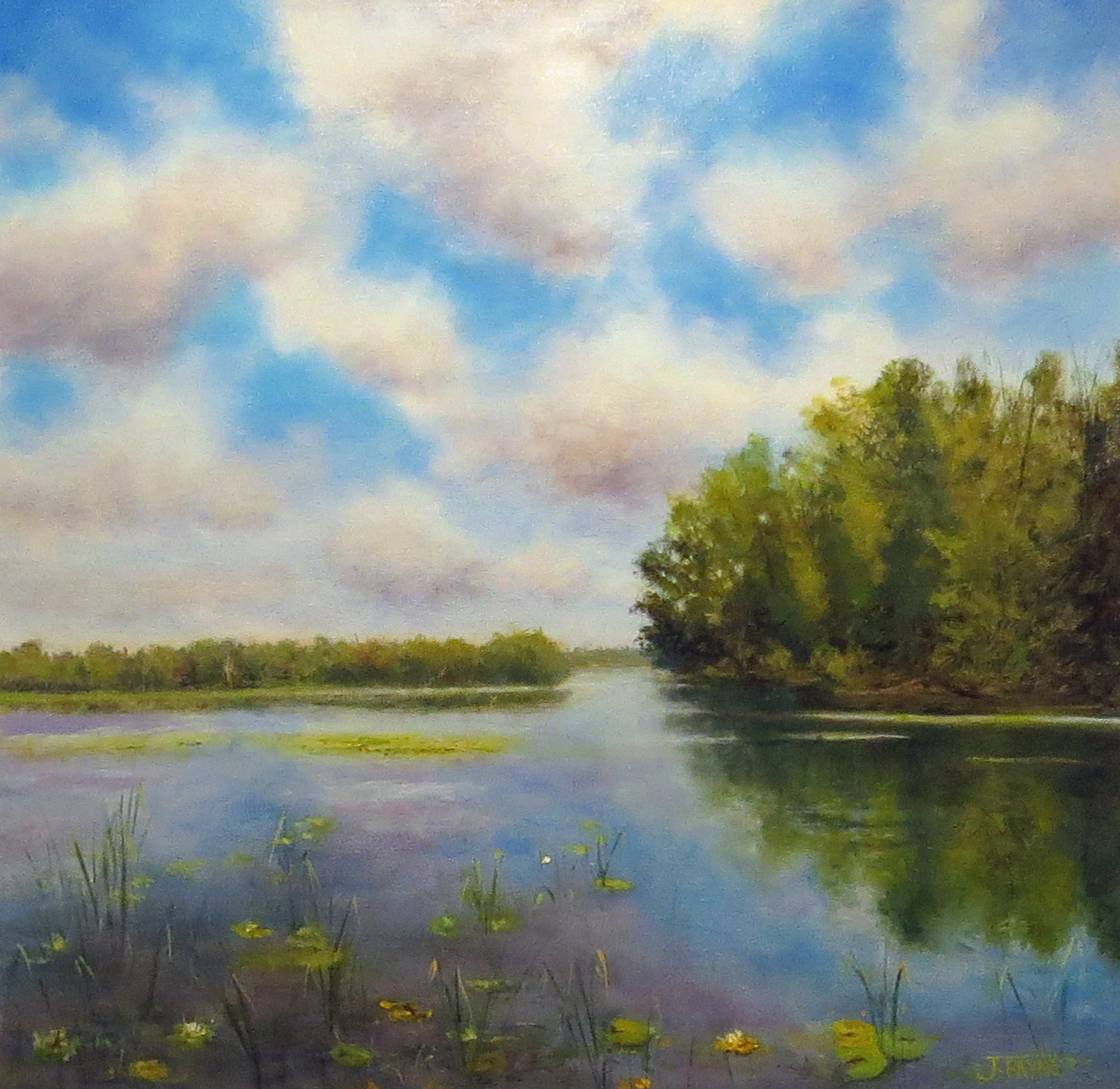 Life on Bannister Lake