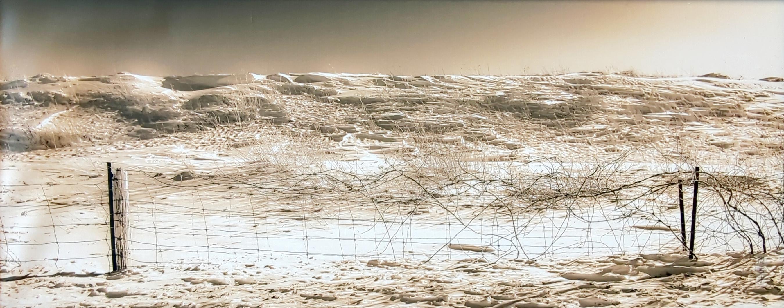 Desolate