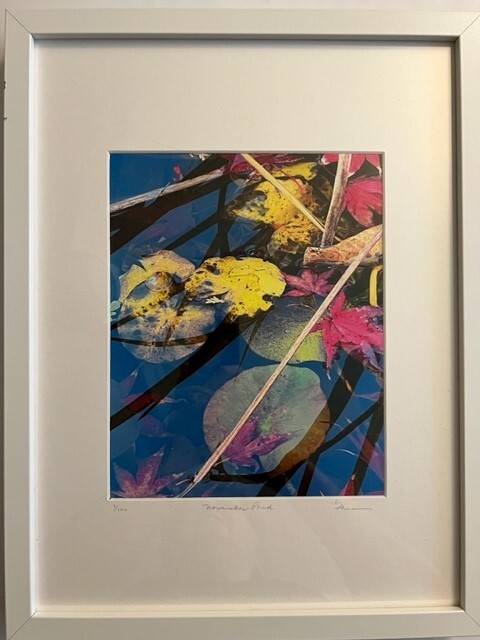 November Pond (Sold)