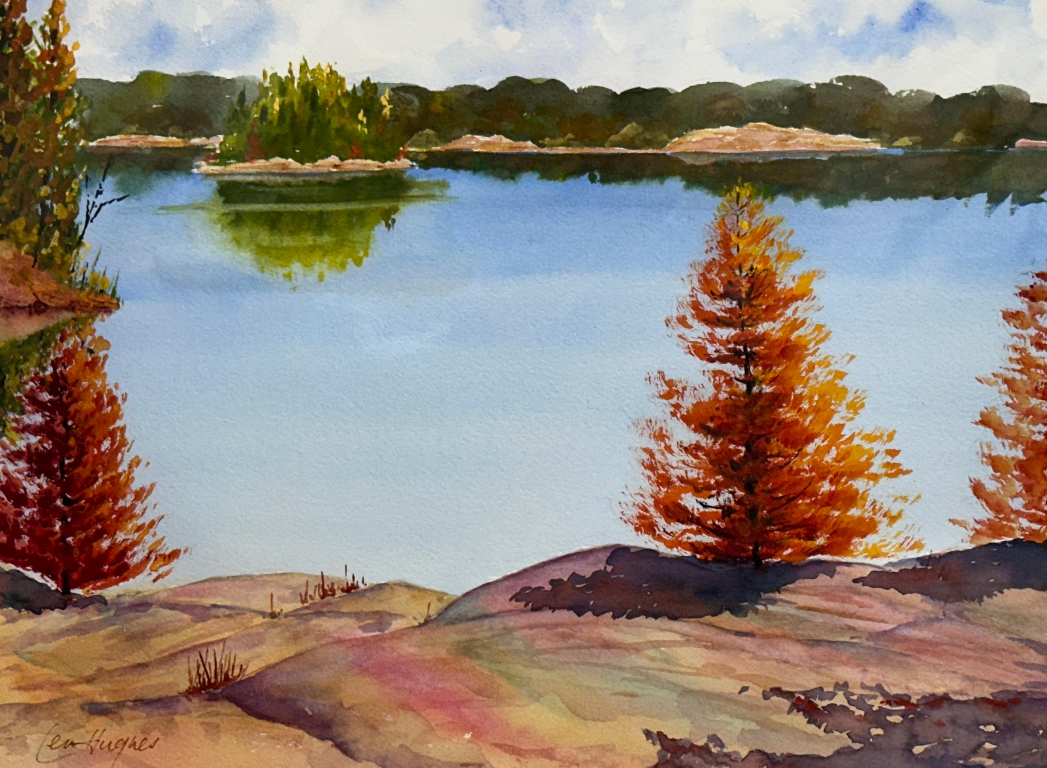 Overlooking the Water