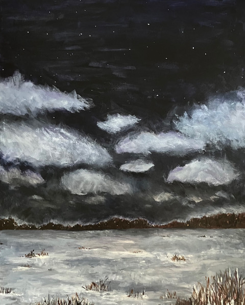 Winter Night Sky